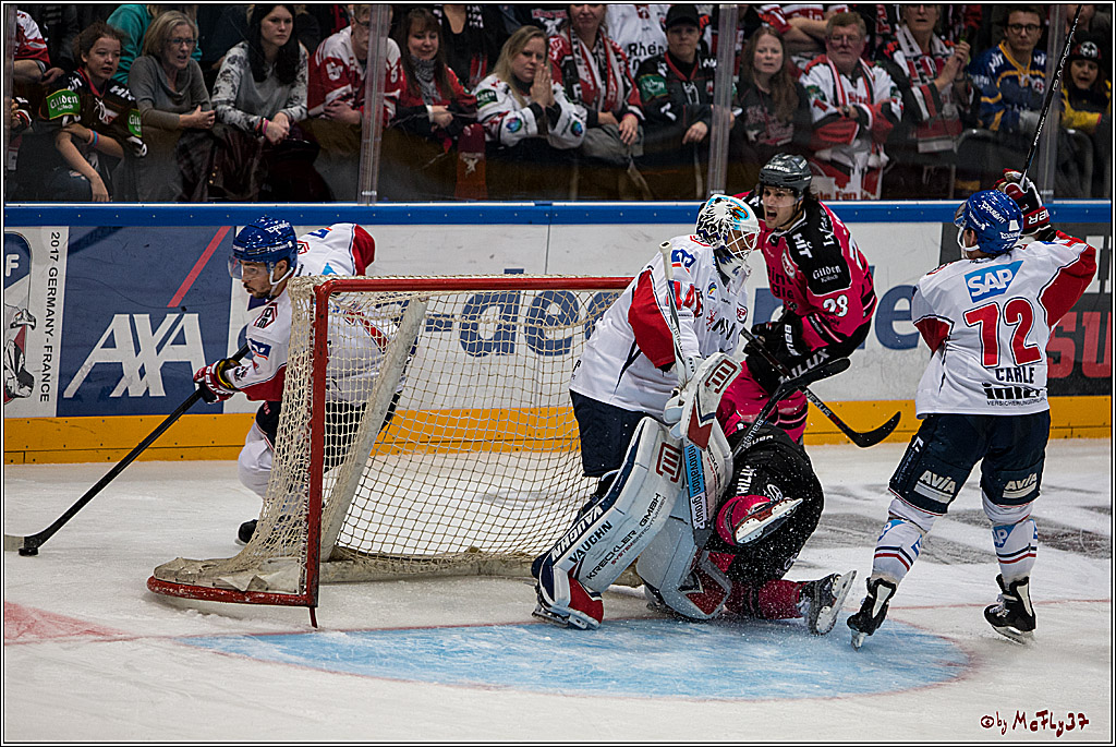 Koelner Haie - Adler Mannheim, 30.10.2016